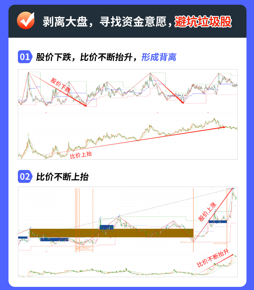 比价优选中线股@1x_02.jpg