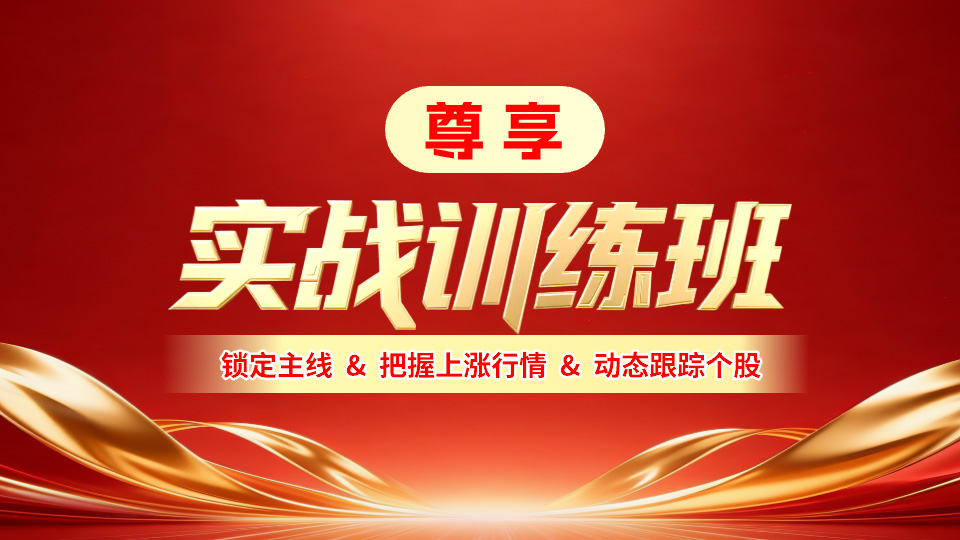 实战训练班-尊享